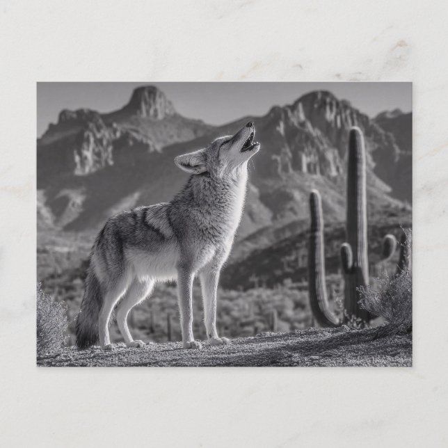 Postal Amortiguar el coyote en el paisaje del desierto (Anverso)