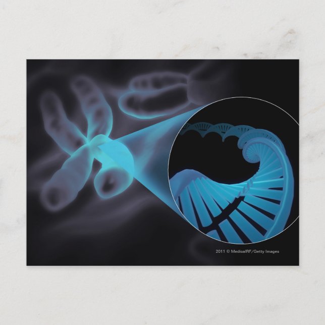 Postal Ampliación de una cadena de ADN en un cromosoma (Anverso)