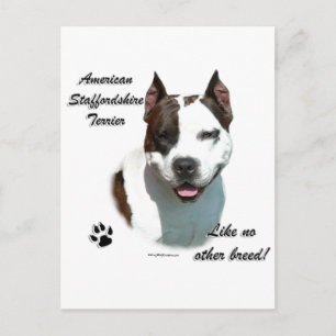 Postal AmStaff Like No Other Breds
