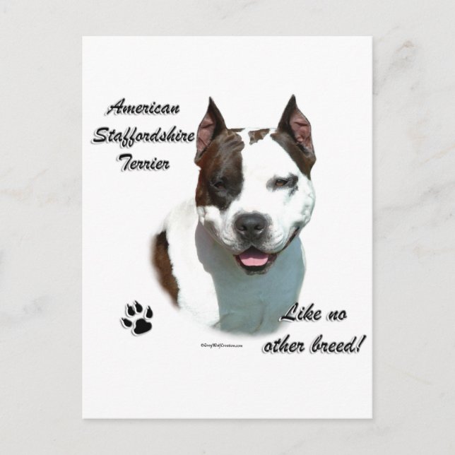 Postal AmStaff Like No Other Breds (Anverso)