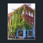 Postal Ámsterdam Autumn Vines Architecture<br><div class="desc">¡Hola! ¡Espero que te guste esta foto que tomé! No dude en añadir su propio texto y consultar mis tiendas para más información.</div>