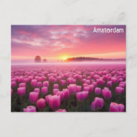 Ámsterdam Holandés Tulips Travel Photo