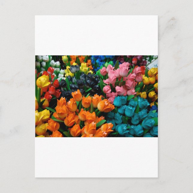 Postal Amsterdam Tulips (Anverso)