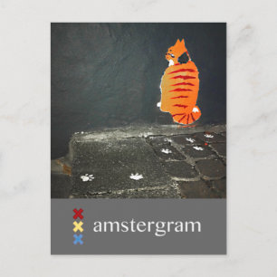 Postal Amstergrama de gato