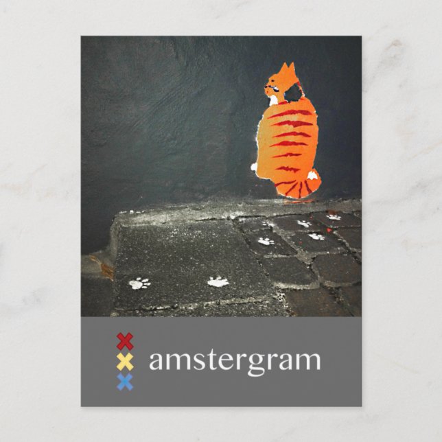 Postal Amstergrama de gato (Anverso)