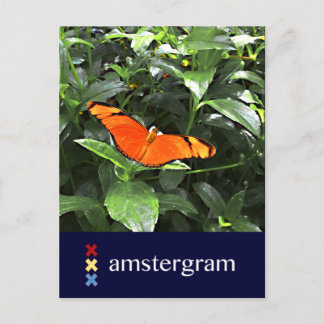 Postal Amstergrama de mariposa