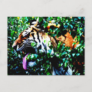 Postal Amur Tiger pc arc4