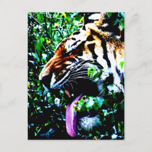 Postal Amur Tiger pccna