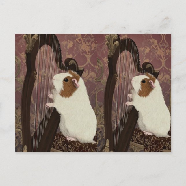 Postal An Evening Recital – Artistic Guinea Pig Postcard (Anverso)
