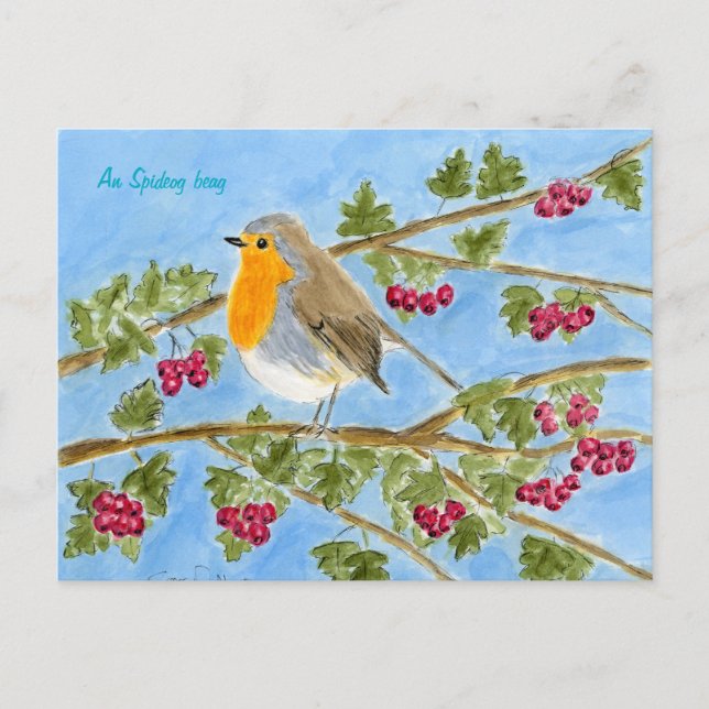 Postal An Spideog beag postcard (Anverso)