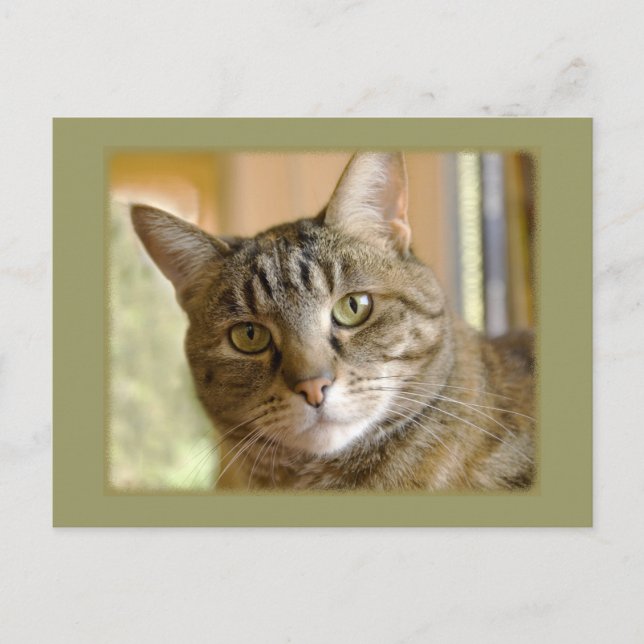 Postal Añadir La Foto De Su Personalizado Pensando En Su  (Anverso)