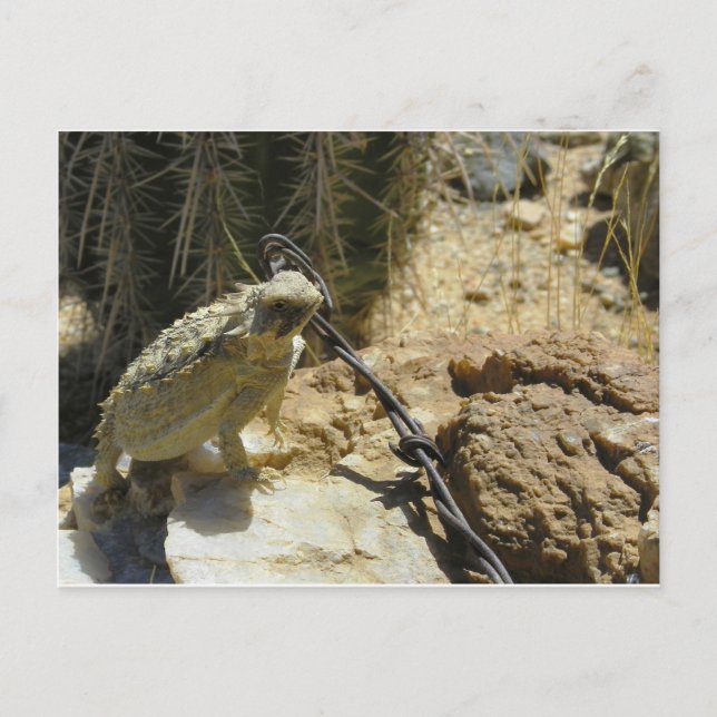 Postal AÑADIR TU PROPIO TEXTO A La Posición Posada de God (Anverso)