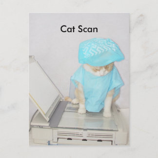 Postal Análisis de gato