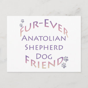 Postal Anatolian Shepherd Dog Furever