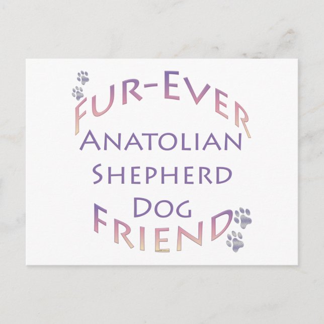 Postal Anatolian Shepherd Dog Furever (Anverso)