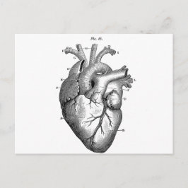 Postal Anatomía-Corazón-Imágenes-Vintage