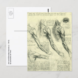 Postal Anatomía de armas y hombros de Leonardo da Vinci