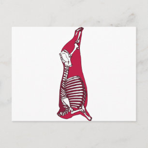 POSTAL ANATOMÍA DE BUTCHER