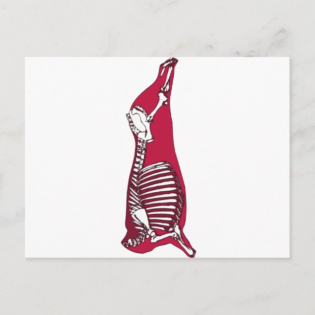 POSTAL ANATOMÍA DE BUTCHER (Anverso)
