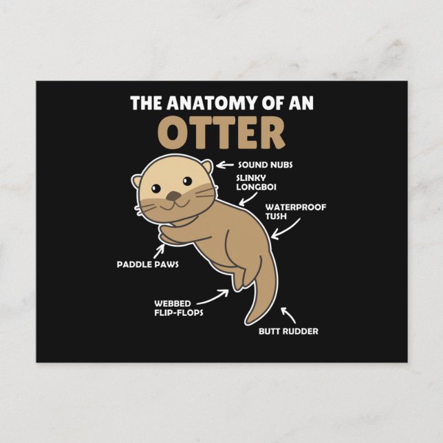 Postal Anatomía De Explicación De Otter Cute De Un Otter (Anverso)