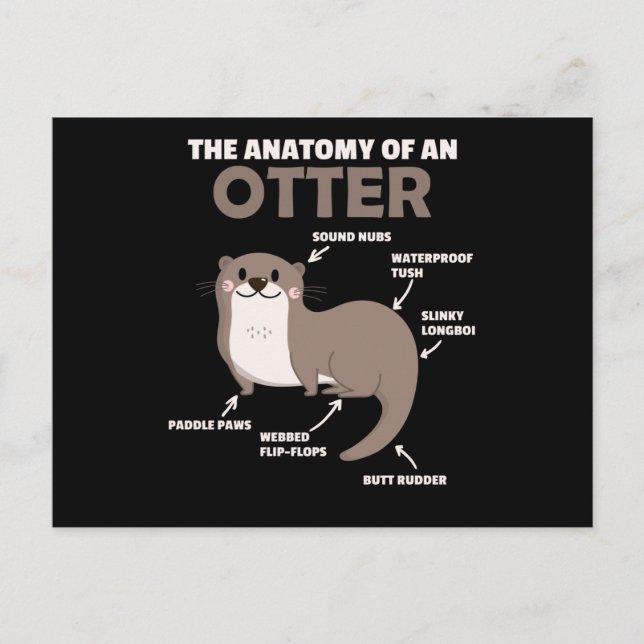 Postal Anatomía De Explicación De Otter Cute De Un Otter (Anverso)