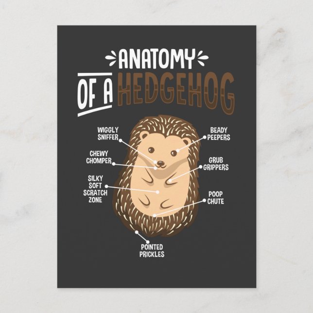 Postal Anatomía De Hedgehog Lover Cute Forest Animal (Anverso)