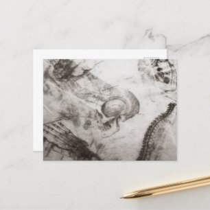 Postal Anatomía de la Academia Oscura