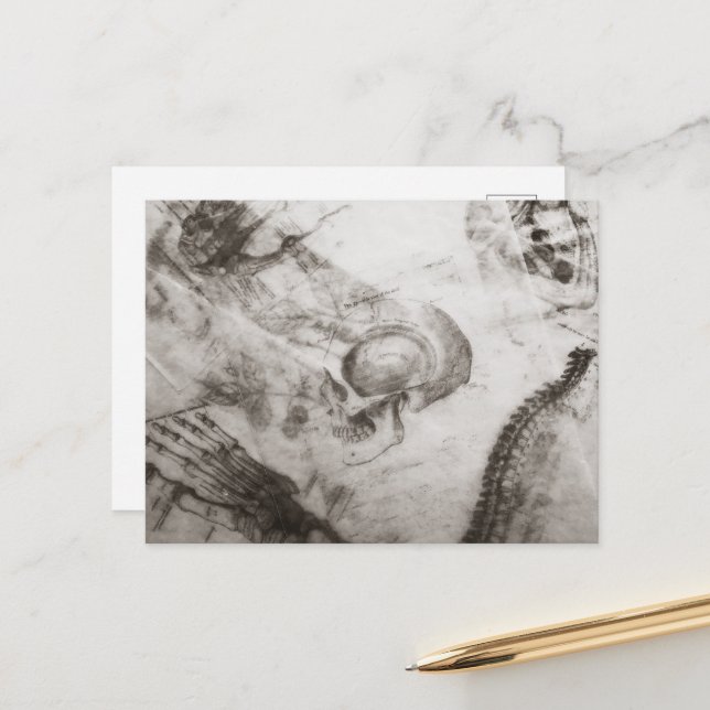 Postal Anatomía de la Academia Oscura (Anverso/Reverso In Situ)