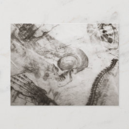 Postal Anatomía de la Academia Oscura