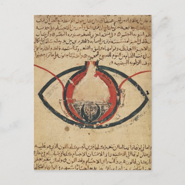 Postal Anatomía de los ojos, de un libro sobre enfermedad (Anverso)