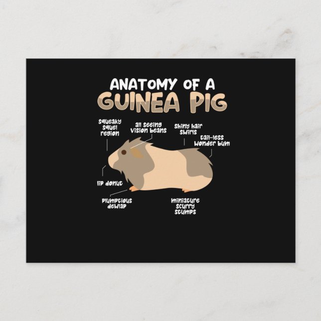 Postal Anatomía de un cerdo guineano (Anverso)