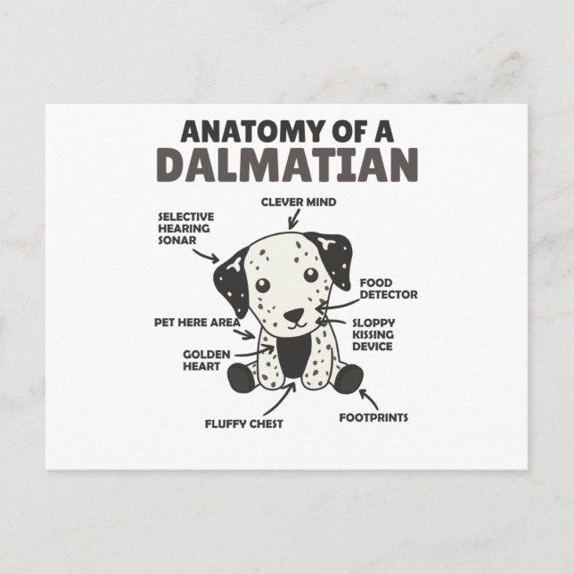 Postal Anatomía De Un Dalmatiano Dulce Perros Gracioso Ca (Anverso)
