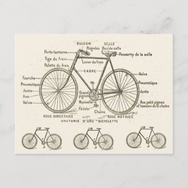 Postal Anatomía de una bicicleta (Anverso)
