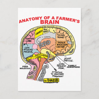POSTAL ANATOMÍA DEL CEREBRO DE UN AGRICULTOR