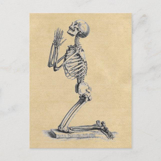Postal Anatomía del esqueleto rezando de los huesos (Anverso)