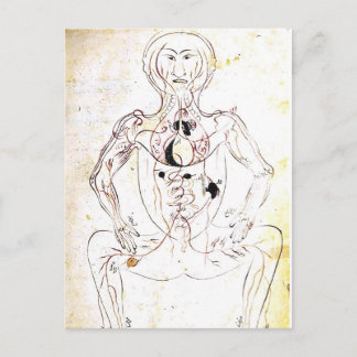 Postal Anatomía delantera médica persa del siglo XIII del