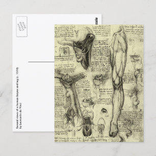 Postal Anatomía Humana Antigua Laringe Pierna Leonardo da