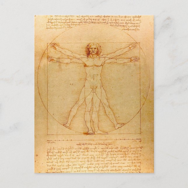 Postal Anatomía humana, hombre de Vitruvian de Leonardo (Anverso)