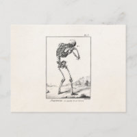 Anatomía médica del esqueleto humano antiguo vinta
