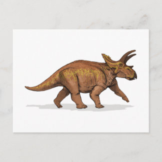 Postal Anchiceratops Dinosaur