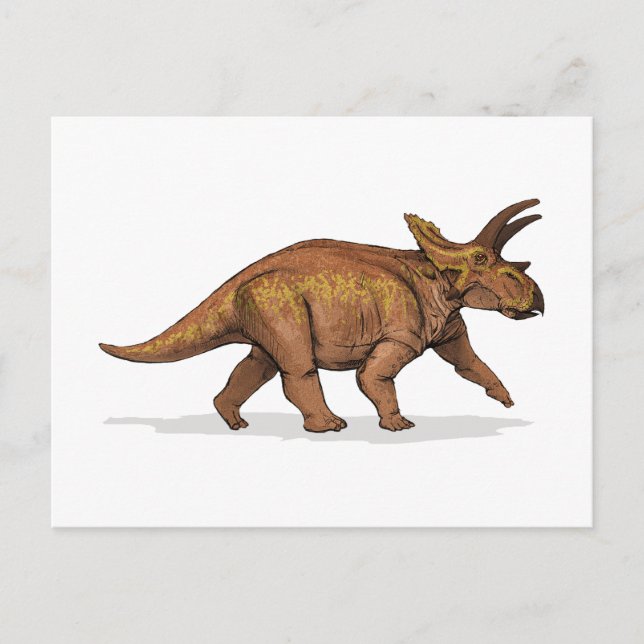 Postal Anchiceratops Dinosaur (Anverso)