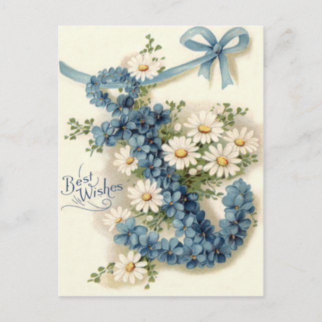Postal Anchor Forget-Me-Not Daisy (Anverso)