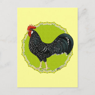 Postal Ancona Rooster