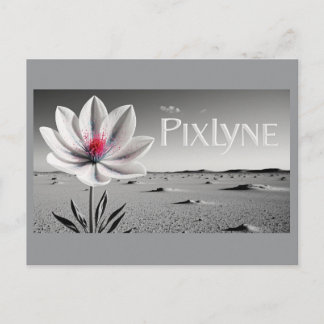 Postal Andrew Goodchild Post Card