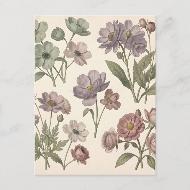 Postal Anémonas Rosas Botánicas Suaves Pastel Vintage (Anverso)