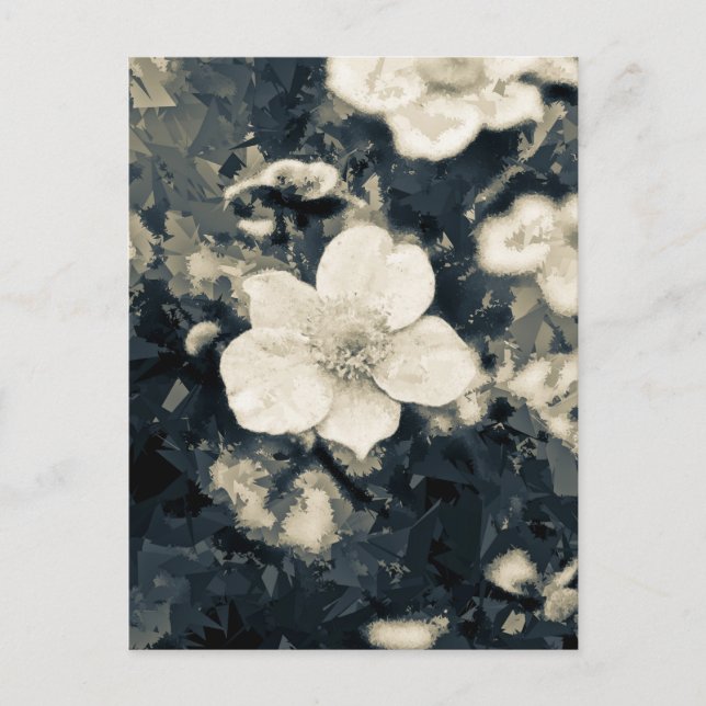 Postal Anemone (Anverso)