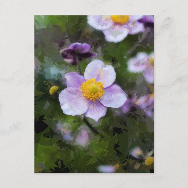 Postal Anemone (Anverso)