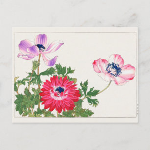 Postal Anemone coronaria por Tanigami Konan