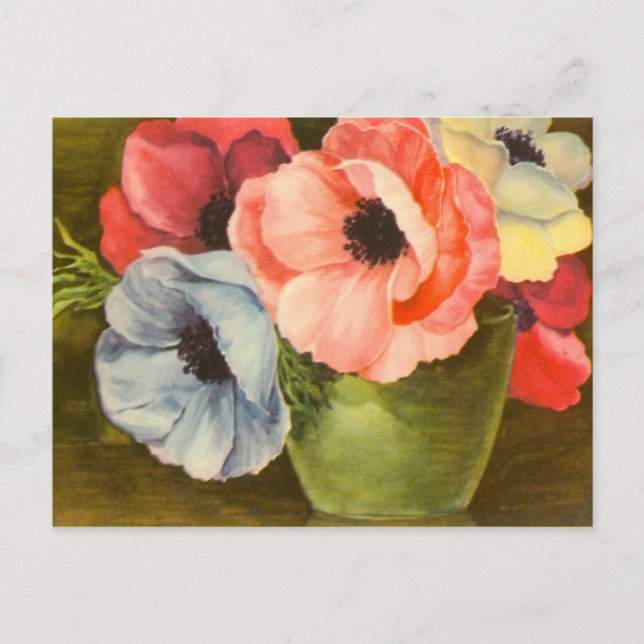 Postal Anemones de época en la vesícula verde (Anverso)
