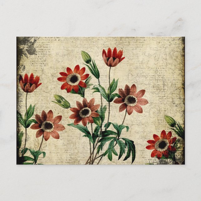 Postal Anemones sin tiempo (Anverso)
